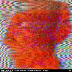 Jonas Brothers "Wings"