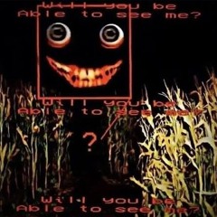 🪞
