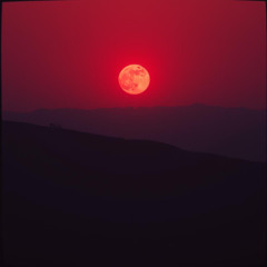 Blood Moon Rising