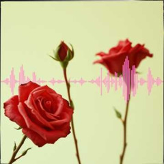 Koparma Gülleri (Cover)