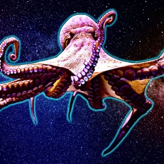 Dark Matter Cephalopod