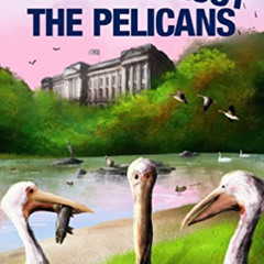 Read KINDLE 📝 We Have Lost The Pelicans: A Humorous British Mystery by  Paul Mathews