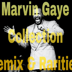 Marvin Gaye - Master