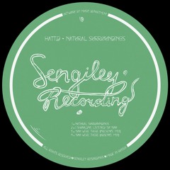 Premiere: HATT.D - You Were There (Presence Mix) [Sengiley]