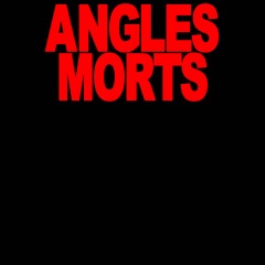 Angles Morts