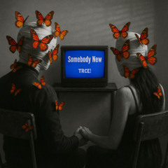 Somebody New (prod. Cold Melody)