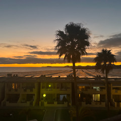 Dan Andres - What is the Purpose of Life (Original Mix)