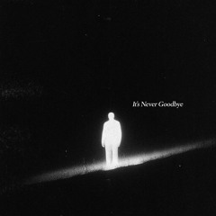 It's Never Goodbye