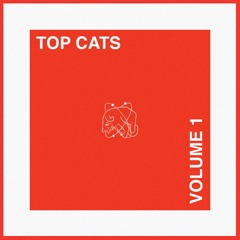 TOP CATS BEAT CYPHER VOLUME (2020)