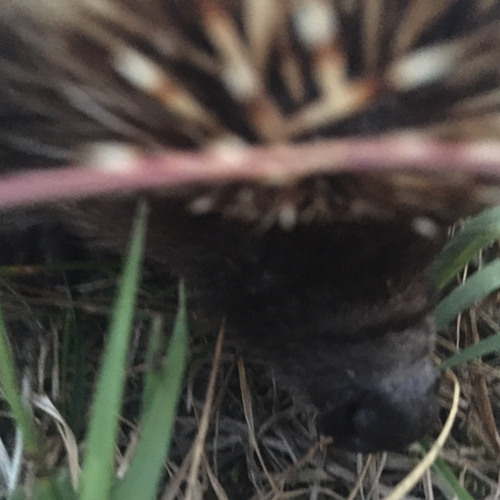 У меня ослепнул глаз бля я пидорас