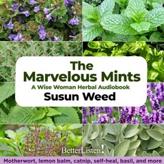 Marvelous Mints Preview 2