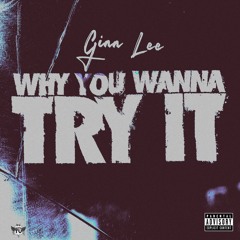 Why You Wanna Try It