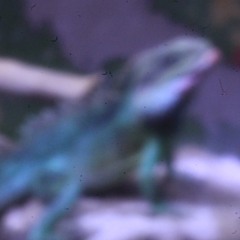 ASAP Rocky - Peso (package_emoji edit)