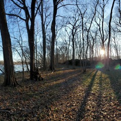 We Stick Together Like Jelly