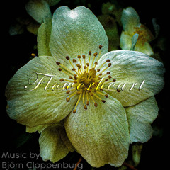 Blumenherz - Flowerheart