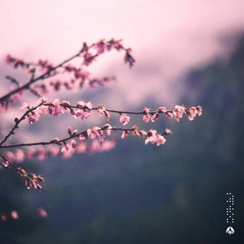 yuhei miura & Kazuki Isogai - Hope