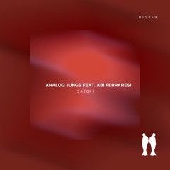 Analog Jungs - Satori (Instrumental Mix)