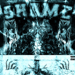 SHAME W/ YOUNGHOLLOW (PROD. RUBYDREDD)