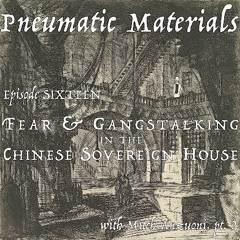 EPISODE SIXTEEN: FEAR AND GANGSTALKING IN THE CHINESE SOVEREIGN HOUSE WITH MITCH ANZUONI, PT 2