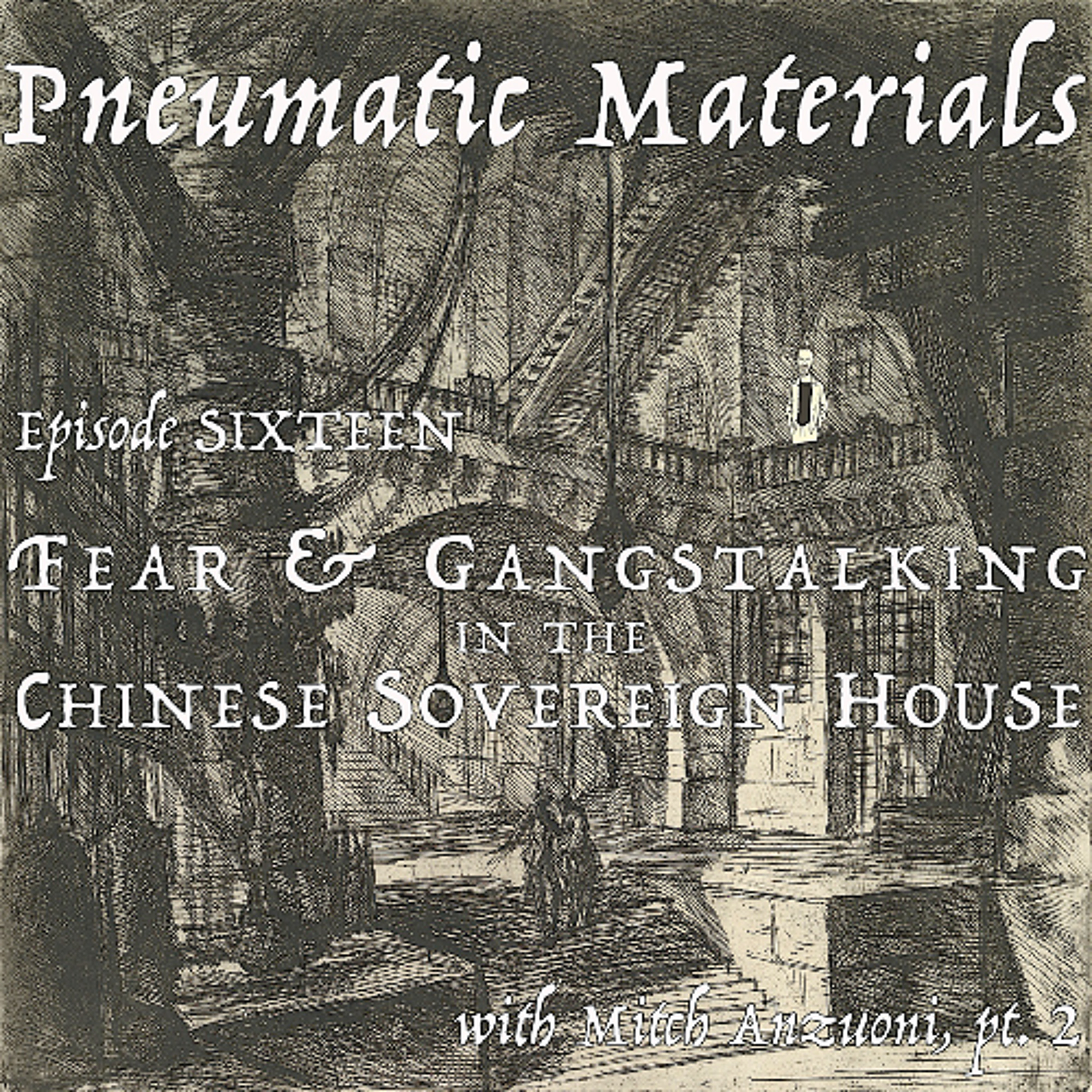 EPISODE SIXTEEN: FEAR AND GANGSTALKING IN THE CHINESE SOVEREIGN HOUSE WITH MITCH ANZUONI, PT 2 episode artwork