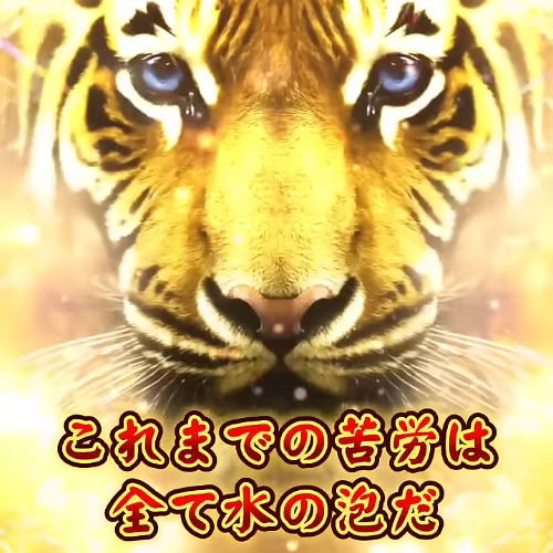 ゴールドタイガー アンティーク レア 芦屋ダイヤモンド 本物 高品質/超金運ゴールドタイガーアイ/無着色 小物入れ