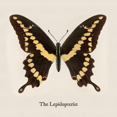 The Lepidopterist (Demo)