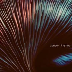 Mycelial Cords (Full Album "Hyphae" on Bandcamp)