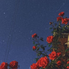LATE SHIFT Sessions: 008 - Roses