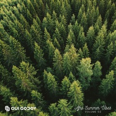 Summer Vibes Vol 2 (AfroHouse Set) inspired by Keinemusik HUGEL Diplo Camelphat Adriatique Adam Port