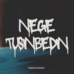 Nege tusinbedin