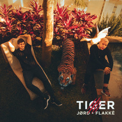 JØRD, Flakkë - Tiger (Extended Mix)