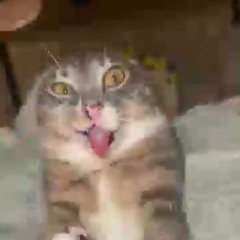 я богатый роблокс джерж ремикс