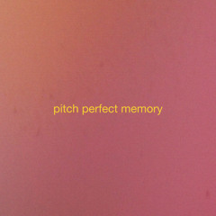 Pitch Perfect Memory - Erik van Ingen