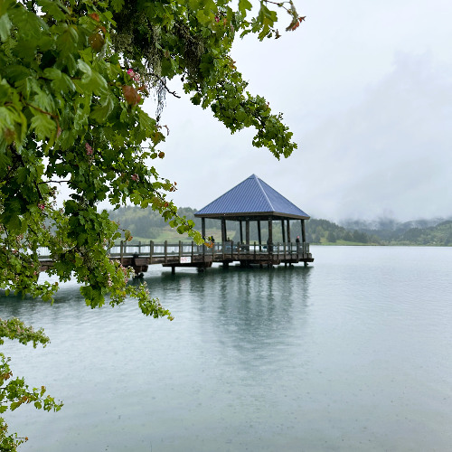 Soundscape for Hagg Lake  – Soundwalk by Katherine Paul