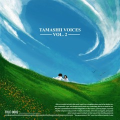 Mr. Misfortune【F/A Tamashii Voices Vol. 02】