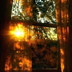 august 10th cover - julie doiron