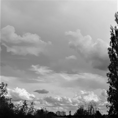 N°6 ENDLOSE EWIGKEIT I  #alittlecatatonic