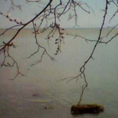 Oh Lord! I've Been Trying