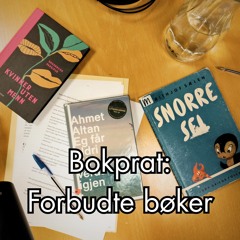 #134 - Bokprat spesial: Forbudte bøker 3