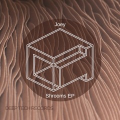 Joey - Delusions (Original Mix)