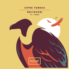Ndiyekeni (Mozaïk Remix) [feat. Toshi]