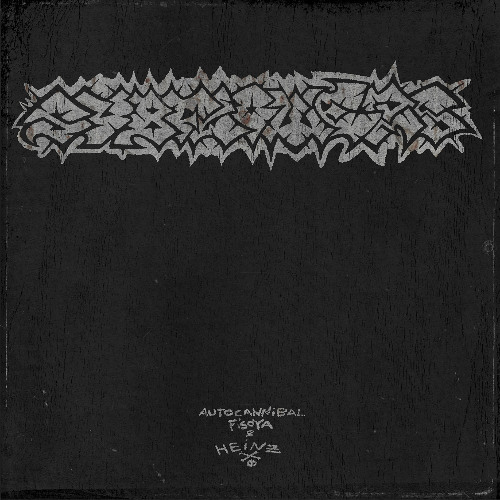 PREMIERE: Subflowers - Hobot