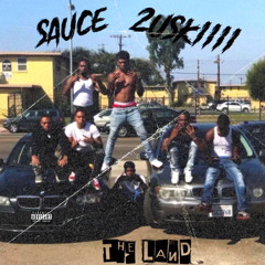 THE LAND ft. 2USKIIII