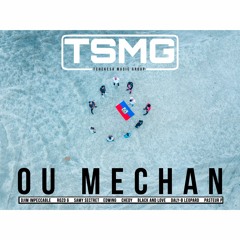 Tsmg Nou Mechan