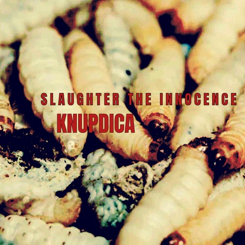 KNUPDICA - SLAUGHTER THE INNOCENCE