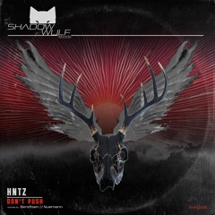 HNTZ - Dont Push (Neumann Remix)