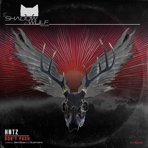HNTZ - Dont Push (Neumann Remix)
