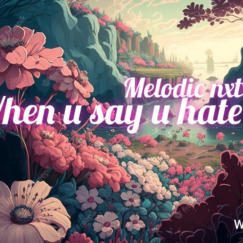 Melodic nxtxs_-_When u say u hate me.mp3