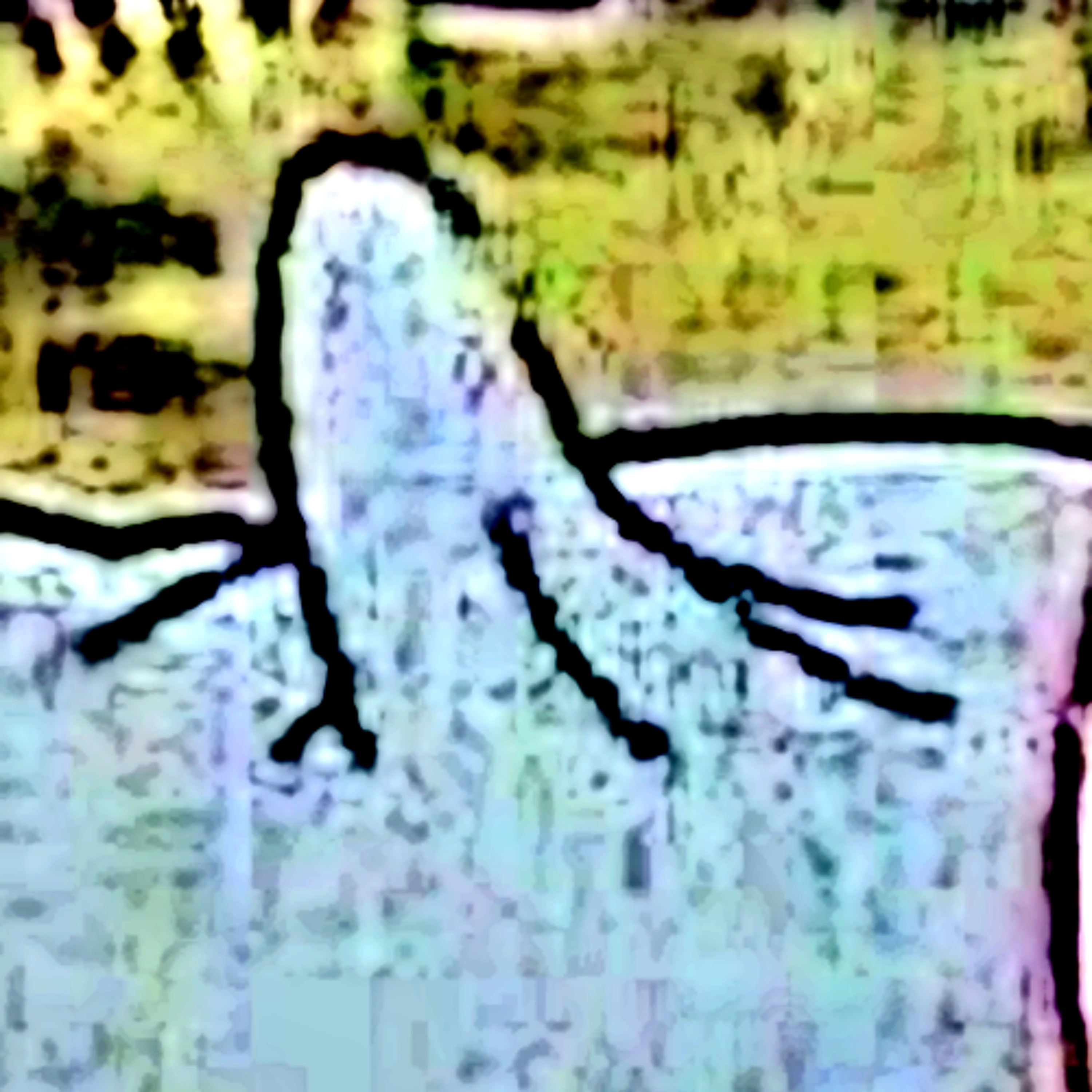 slowie 🍆 episode artwork