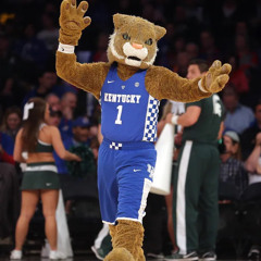 WildCat